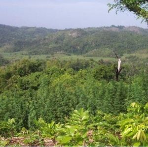 Meet your Posher, Earl